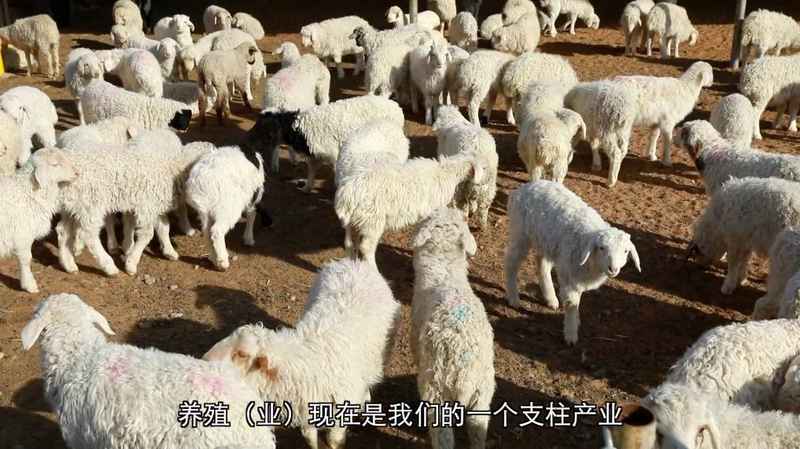 乡村调解智慧闪光,樊九平经验遍地开花;甘肃多地产业助力,和美家园逐步筑牢。 文化旅游