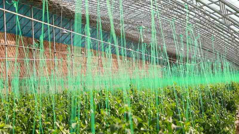 乡村调解智慧闪光,樊九平经验遍地开花;甘肃多地产业助力,和美家园逐步筑牢。 文化旅游