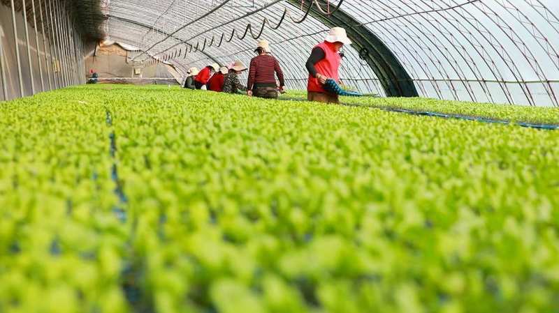 乡村调解智慧闪光,樊九平经验遍地开花;甘肃多地产业助力,和美家园逐步筑牢。 文化旅游