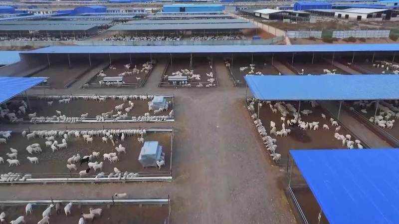 乡村调解智慧闪光,樊九平经验遍地开花;甘肃多地产业助力,和美家园逐步筑牢。 文化旅游