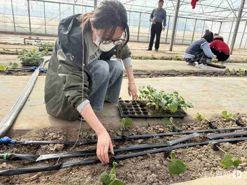  陕西科技小院星罗棋布；研究生沉浸田野一线，情系三农书写华章。 教育招生