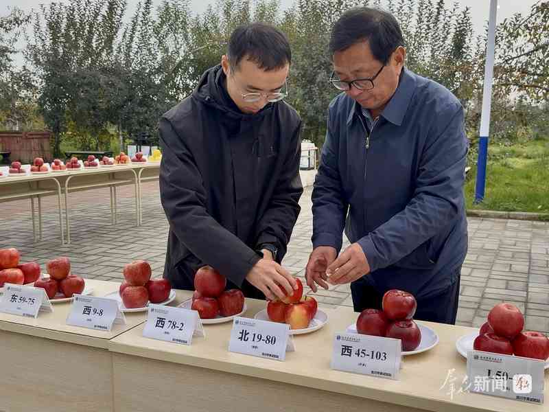  陕西科技小院星罗棋布；研究生沉浸田野一线，情系三农书写华章。 教育招生