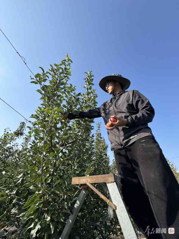  陕西科技小院星罗棋布；研究生沉浸田野一线，情系三农书写华章。 教育招生