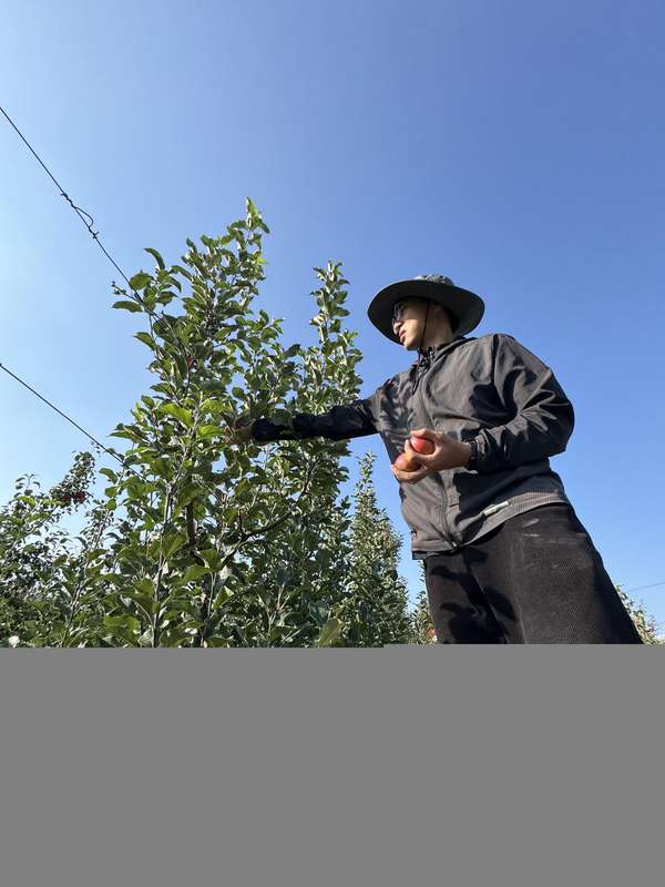  陕西科技小院星罗棋布；研究生沉浸田野一线，情系三农书写华章。 教育招生