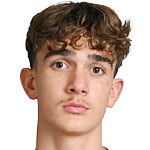  阿森纳新星道曼家庭发力，父兄取得FIFA经纪人执照；未来职业道路由亲人把关。 体育新闻