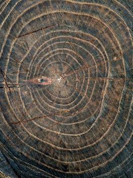  数据要素市场化进程加快；高质量数据集建设成效显著；峰会现场体验区亮点纷呈。 IT技术 数据要素市场化进程加快；高质量数据集建设成效显著；峰会现场体验区亮点纷呈。 IT技术 数据要素市场化进程加快；高质量数据集建设成效显著；峰会现场体验区亮点纷呈。 IT技术