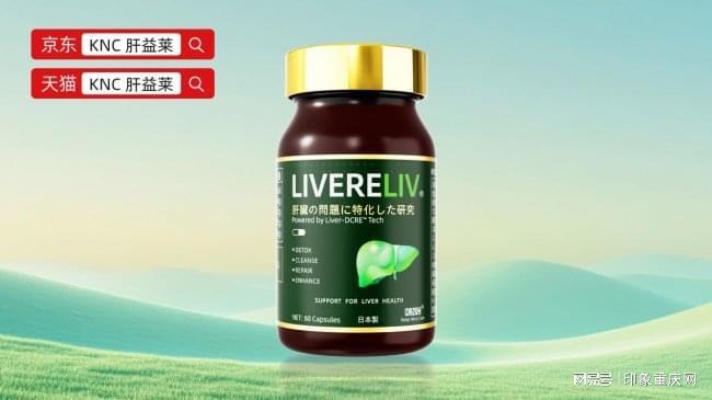 高压职场人群的肝脏代谢优化与应激修复方案 IT技术