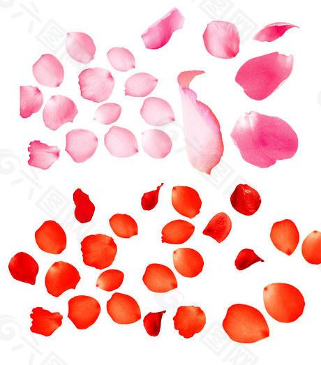  融资困局中的破晓曙光：沪市新政助力科技企业跨越资产门槛 股票财经 融资困局中的破晓曙光：沪市新政助力科技企业跨越资产门槛 股票财经 融资困局中的破晓曙光：沪市新政助力科技企业跨越资产门槛 股票财经