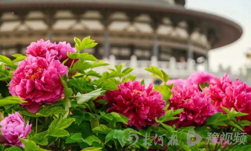  拒绝盲目跟风：清明文博场馆预约已达临界点，深度解析另一种出行逻辑 新闻 拒绝盲目跟风：清明文博场馆预约已达临界点，深度解析另一种出行逻辑 新闻