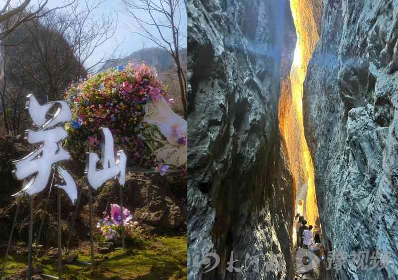  拒绝盲目跟风：清明文博场馆预约已达临界点，深度解析另一种出行逻辑 新闻 拒绝盲目跟风：清明文博场馆预约已达临界点，深度解析另一种出行逻辑 新闻