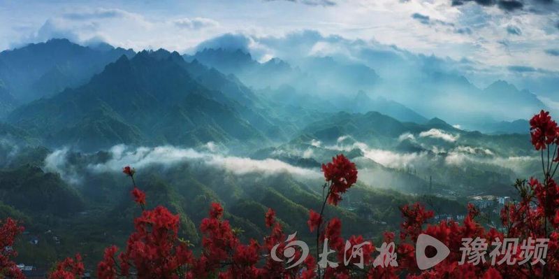  拒绝盲目跟风：清明文博场馆预约已达临界点，深度解析另一种出行逻辑 新闻 拒绝盲目跟风：清明文博场馆预约已达临界点，深度解析另一种出行逻辑 新闻