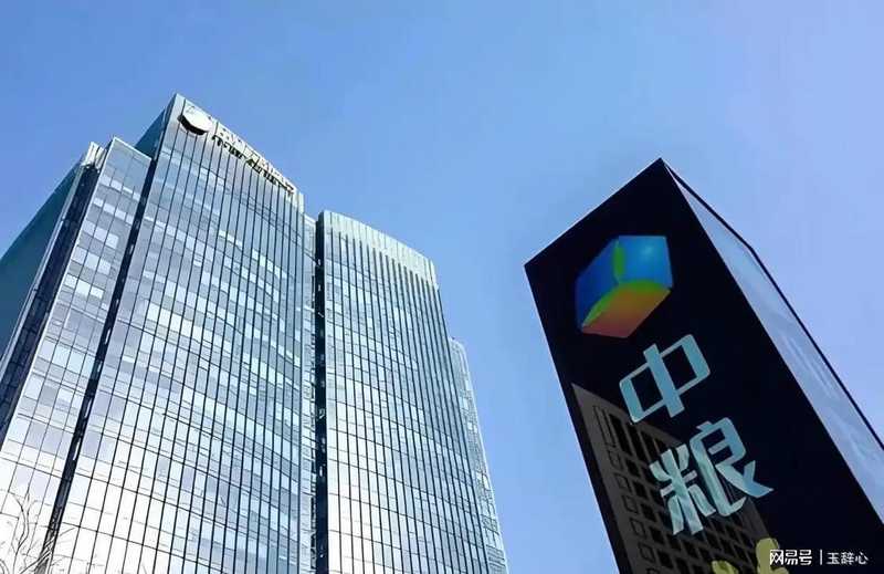 迷失的野心：从温州富商到债务泥潭的心理反思