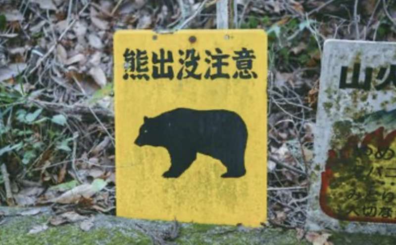  东京都市圈黑熊渗透机制深度剖析：地理屏障失效与生态廊道扩张的技术逻辑 新闻