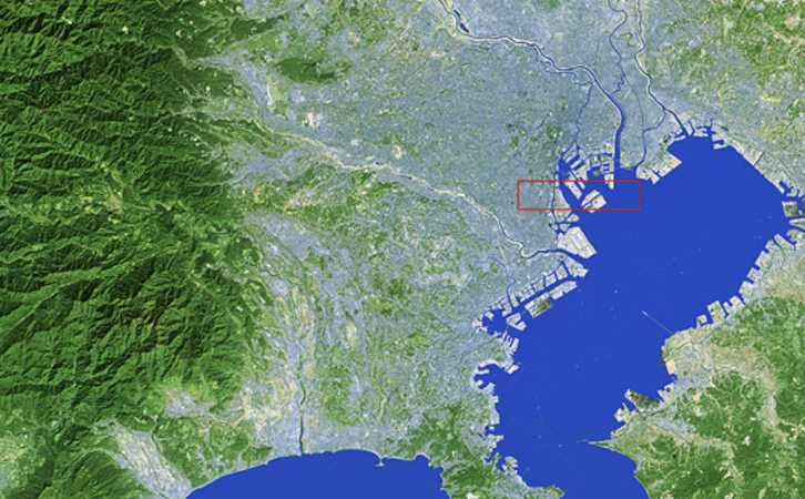  东京都市圈黑熊渗透机制深度剖析：地理屏障失效与生态廊道扩张的技术逻辑 新闻