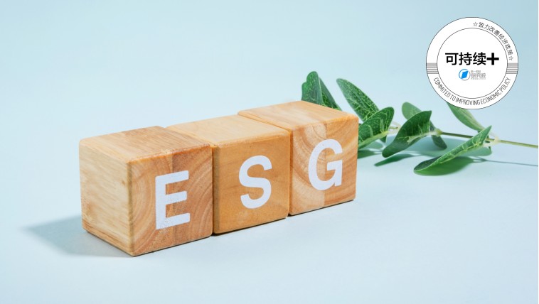  深析沪市主板「提质增效重回报」专项行动：四大维度拆解企业变革路径 新闻