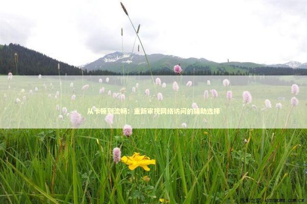 从卡顿到流畅：重新审视网络访问的辅助选择 IT技术