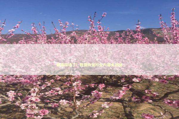 别再踩坑了!数据恢复行业内幕大揭秘 别再踩坑了!数据恢复行业内幕大揭秘 IT技术