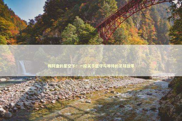 梅阿查的星空下：一段关于坚守与等待的足球故事 体育新闻