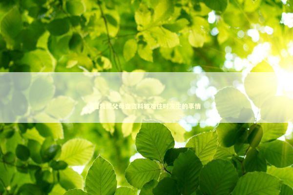 当我帮父母查资料被难住时发生的事情 新闻