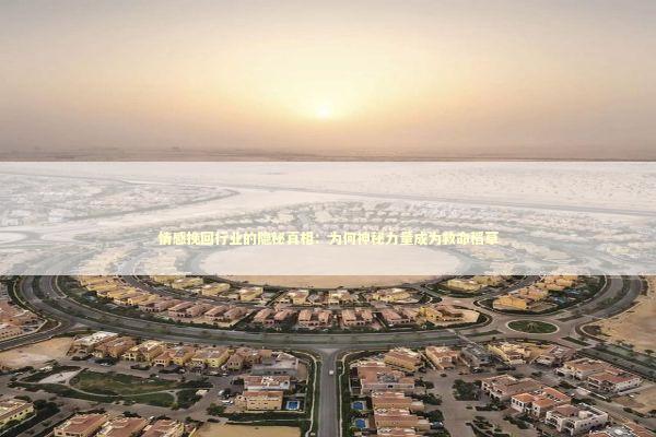 情感挽回行业的隐秘真相：为何神秘力量成为救命稻草 情感心理