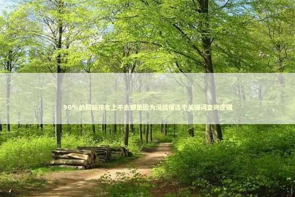 90%的网站排名上不去都是因为没搞懂这个关键词查询逻辑 IT技术