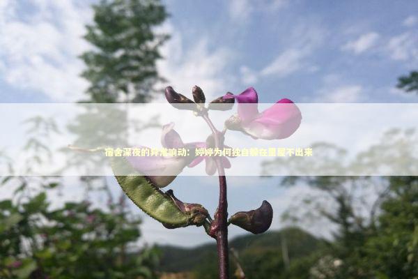 宿舍深夜的异常响动：婷婷为何独自躲在里屋不出来 情感心理