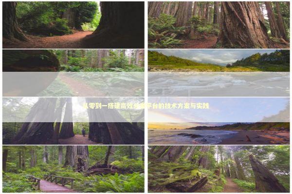 从零到一搭建高效分类平台的技术方案与实践 IT技术