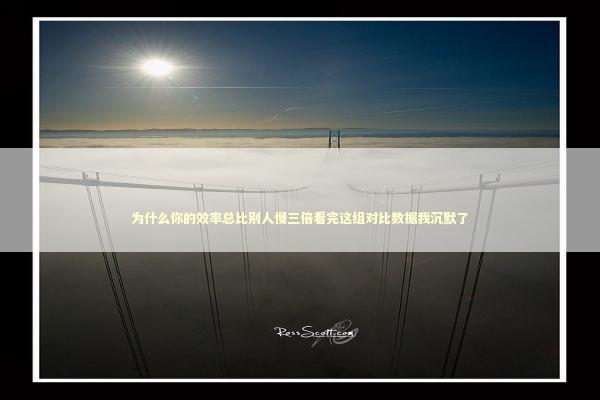 为什么你的效率总比别人慢三倍看完这组对比数据我沉默了 IT技术