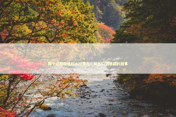 那个让我痴迷的小玩意儿：从入门到收藏的故事 娱乐新闻