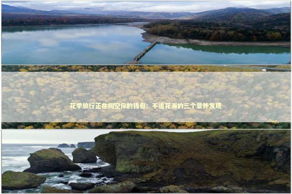 花季旅行正在掏空你的钱包：不追花海的三个意外发现 文化旅游